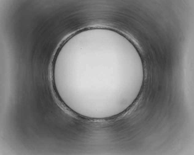 X0000113090848200908281006