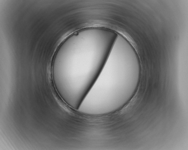 X0000113090850200908281006