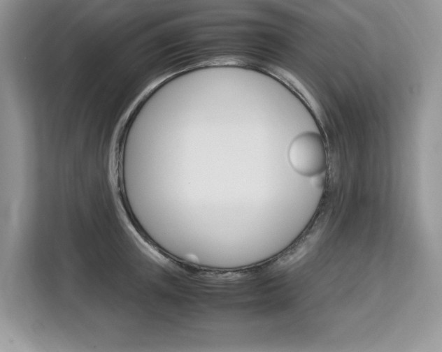 X0000113090851200908281006