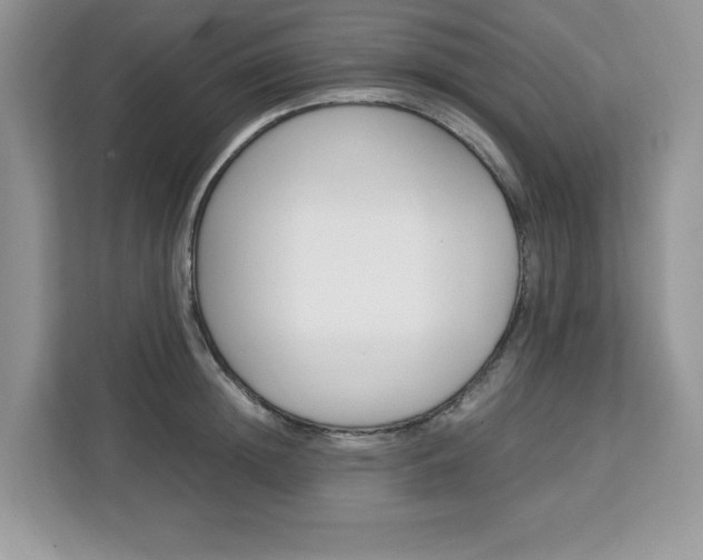 X0000113090852200908281006