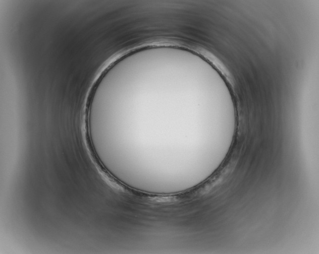 X0000113090853200908281006