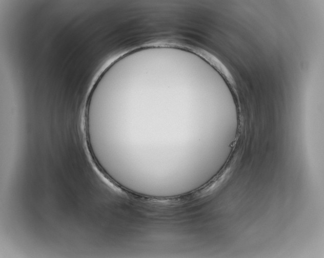 X0000113090855200908281006