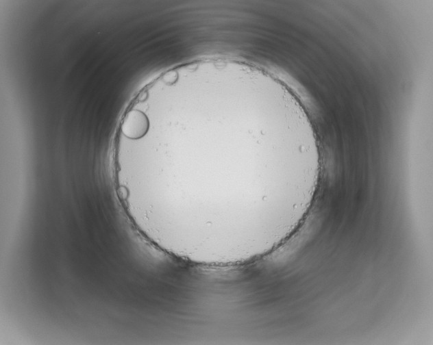 X0000113090856200908281006