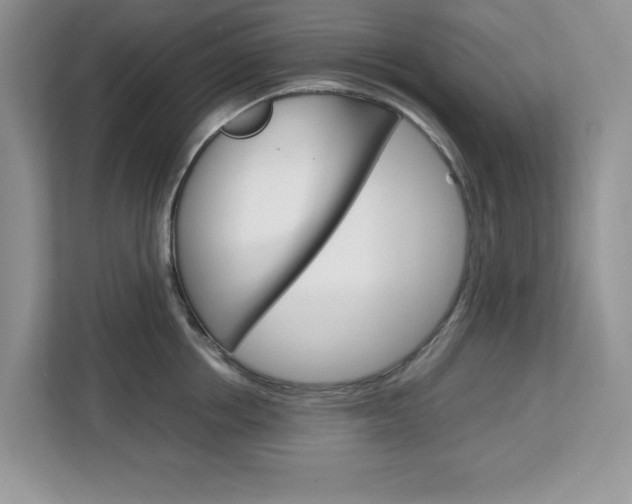 X0000113090858200908281006