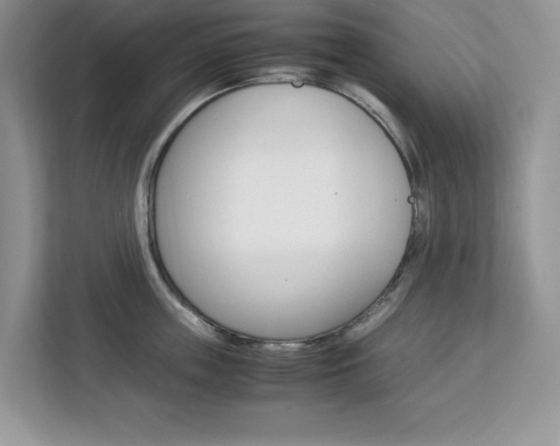 X0000113090859200908281006