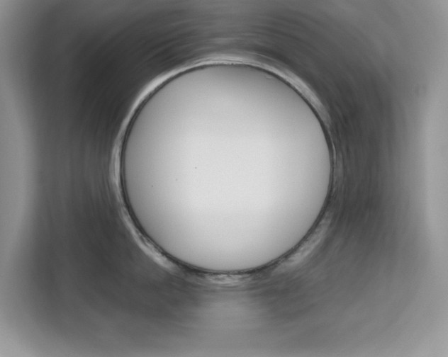 X0000113090862200908281006