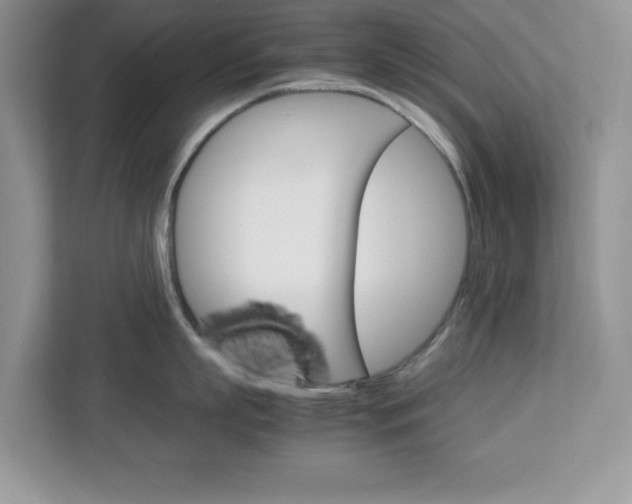 X0000113090863200908281006