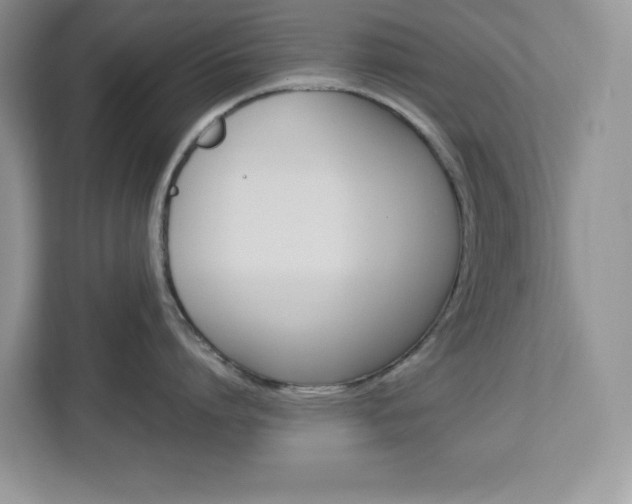 X0000113090864200908281006