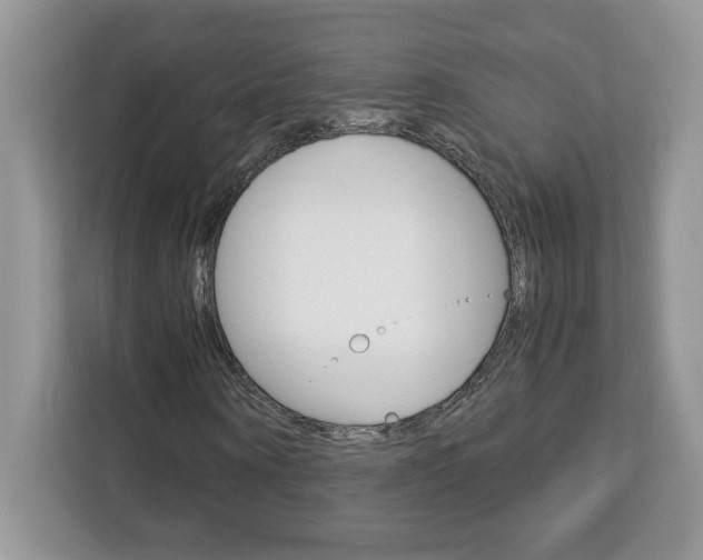 X0000113090866200908281005