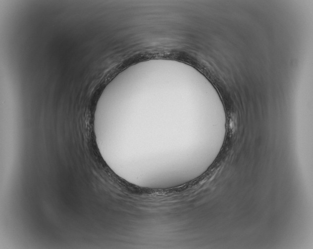 X0000113090867200908281005