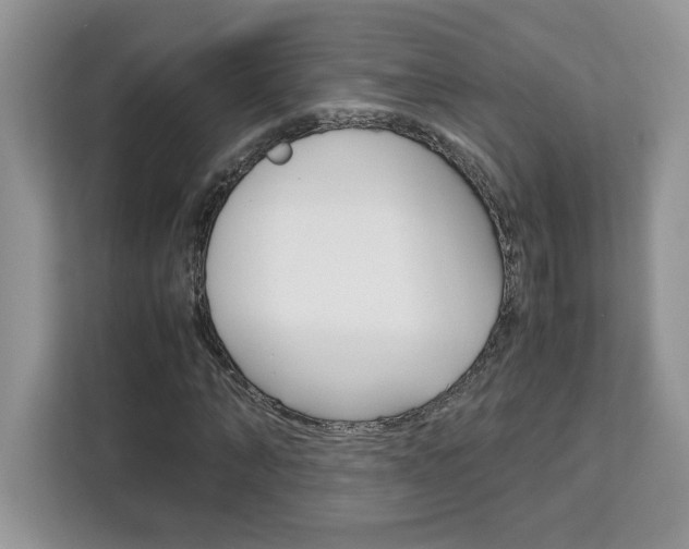 X0000113090870200908281005