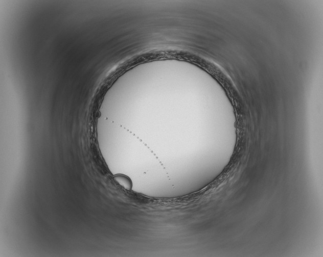 X0000113090871200908281005