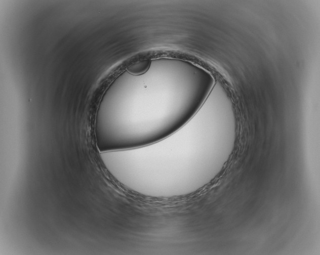 X0000113090872200908281005