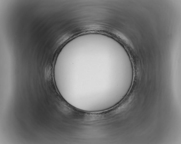 X0000113090873200908281005