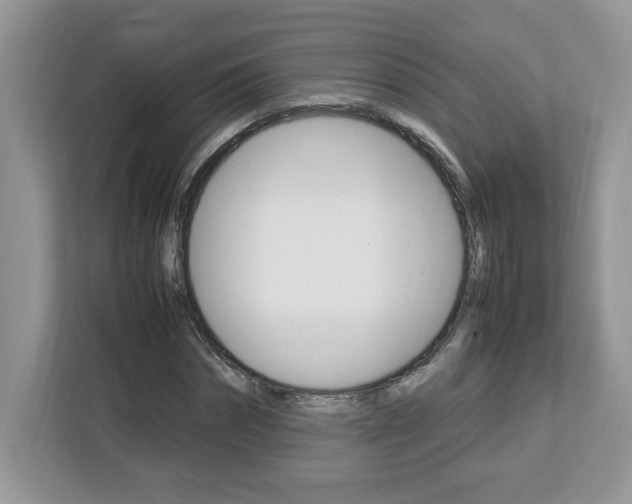 X0000113090874200908281005