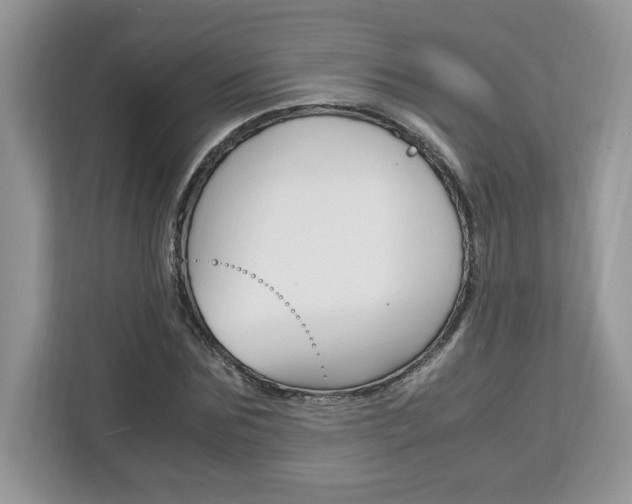 X0000113090875200908281005