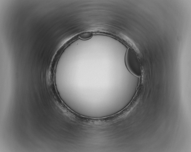X0000113090876200908281005