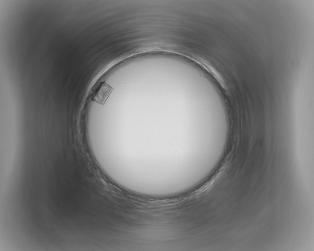 X0000113090877200908281005