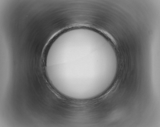 X0000113090878200908281005