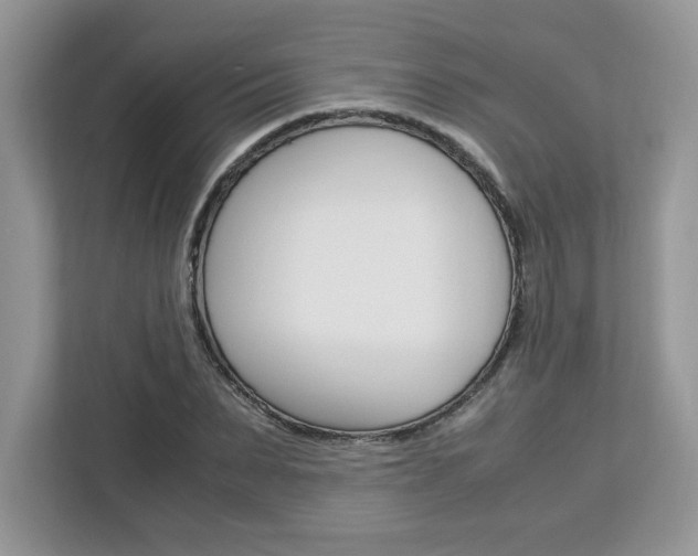 X0000113090879200908281005