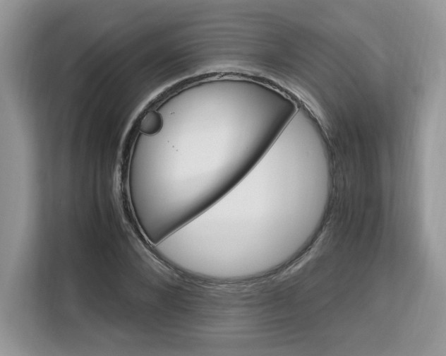 X0000113090880200908281005