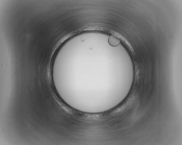 X0000113090882200908281005