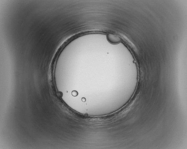 X0000113090883200908281005