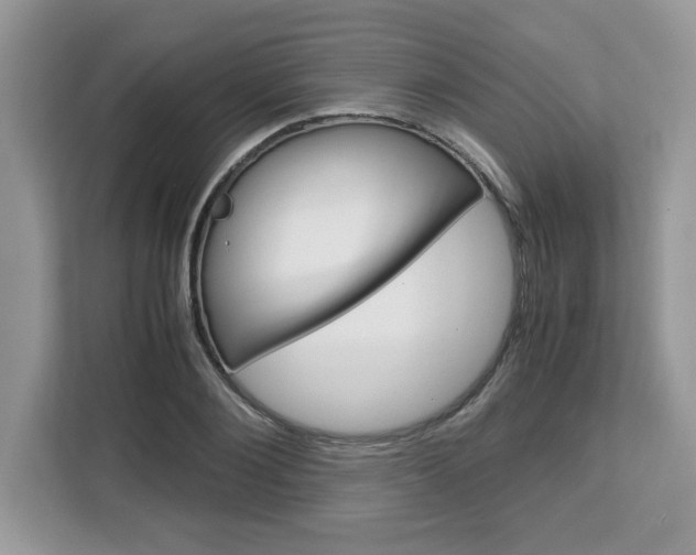 X0000113090884200908281005