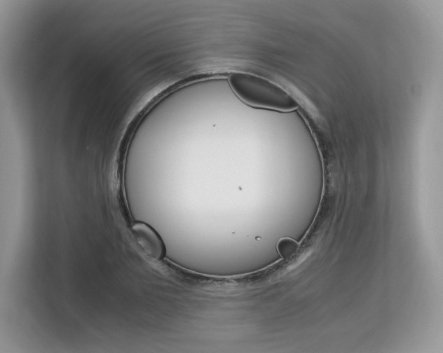X0000113090885200908281005