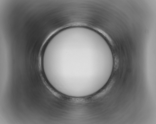 X0000113090886200908281005