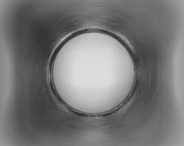 X0000113090887200908281005