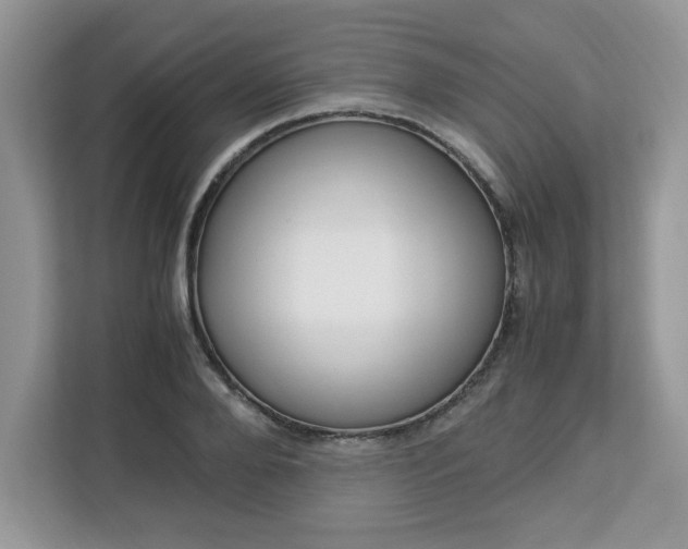 X0000113090888200908281005