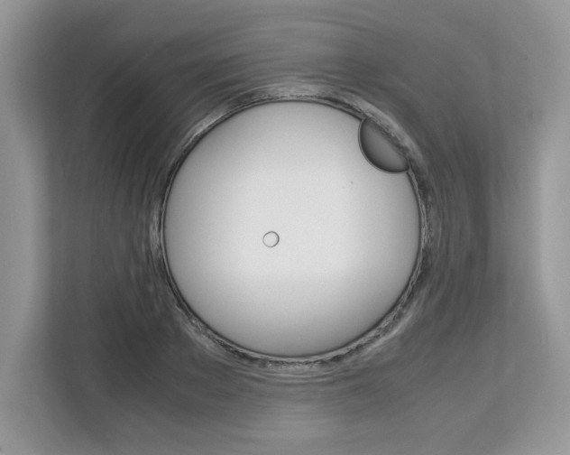 X0000113090889200908281005