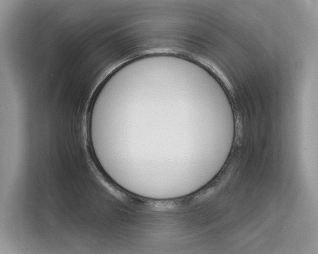 X0000113090890200908281005