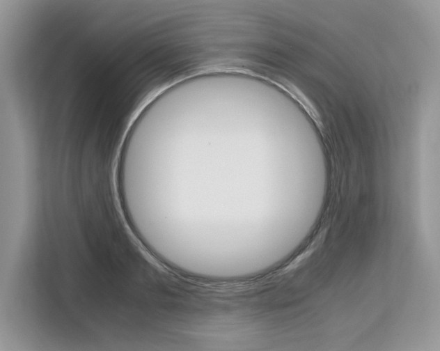 X0000113090893200908281005