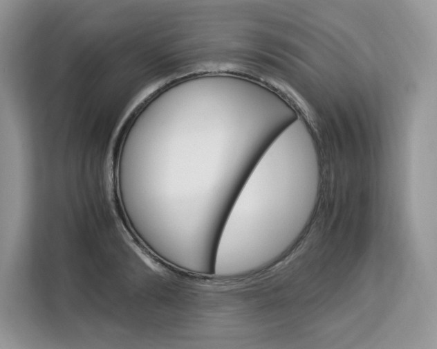 X0000113090894200908281005