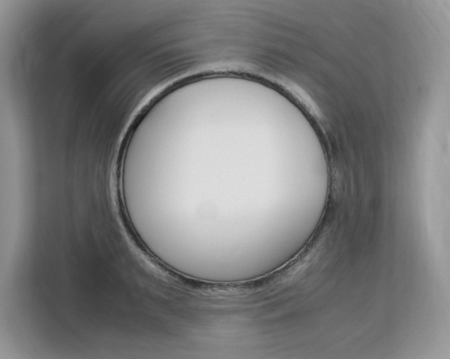 X0000113090895200908281005
