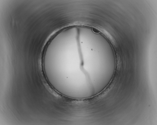 X0000113090896200908281005