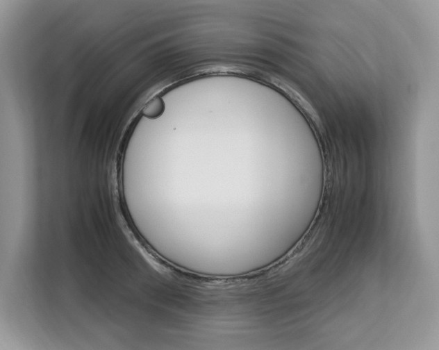 X0000113090898200908281005