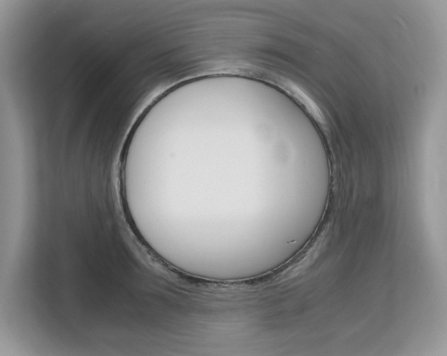 X0000113090899200908281005