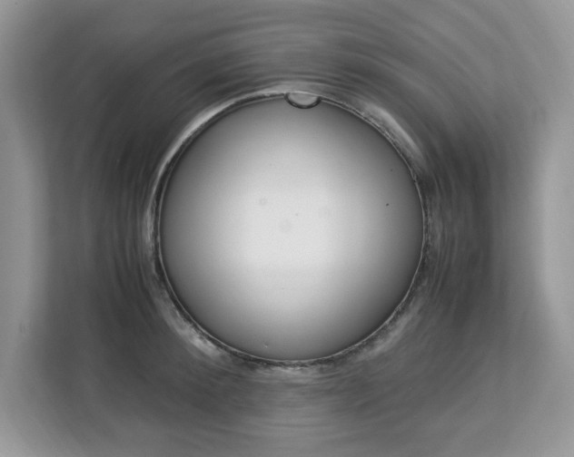 X0000113090900200908281005
