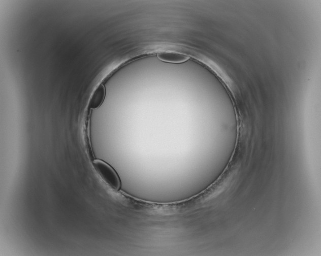 X0000113090901200908281005