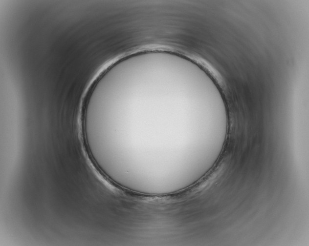 X0000113090902200908281005
