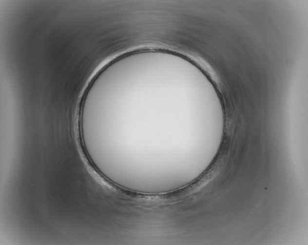 X0000113090903200908281005