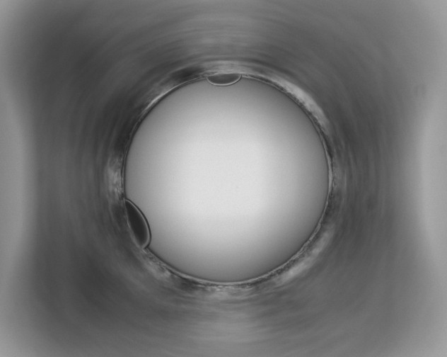 X0000113090905200908281005