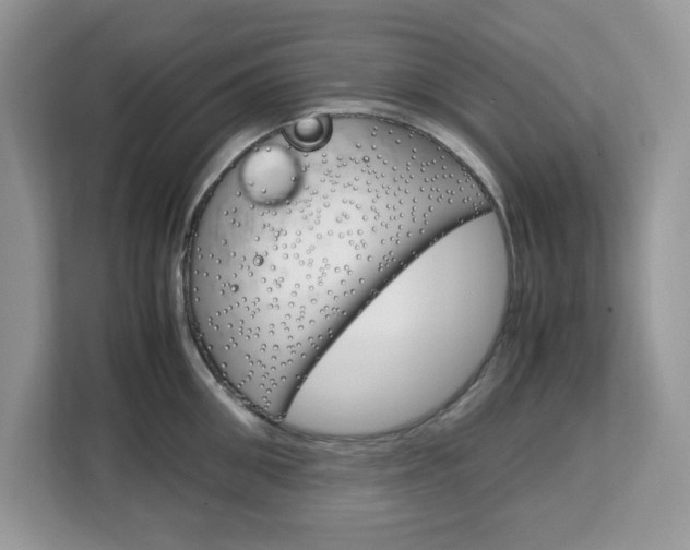X0000113090906200908281005