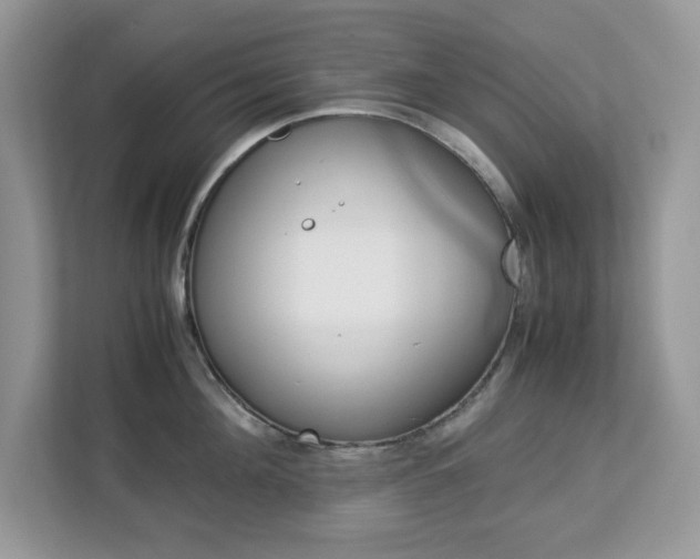 X0000113090908200908281005