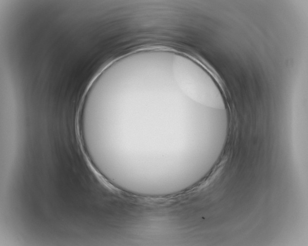 X0000113090909200908281005