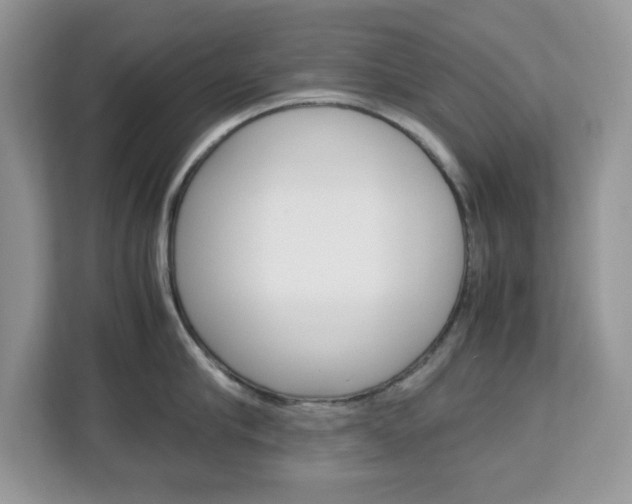 X0000113090910200908281005