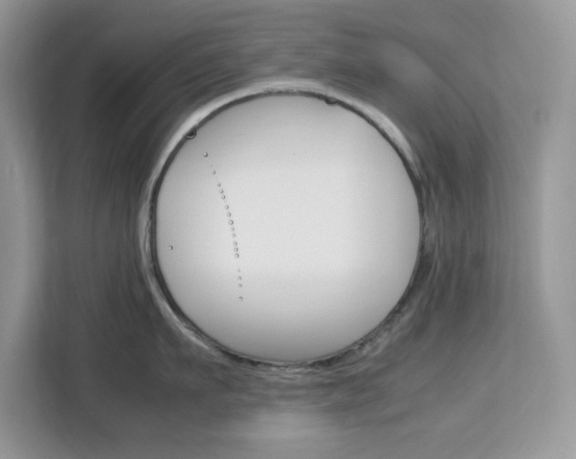 X0000113090911200908281005